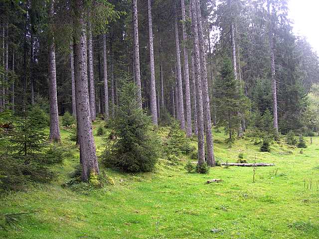 Avventura  nel  Pianeta  Jurassiano